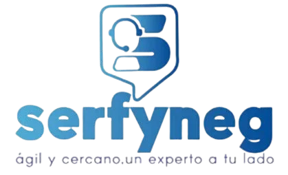 Portal Interno Serfyneg